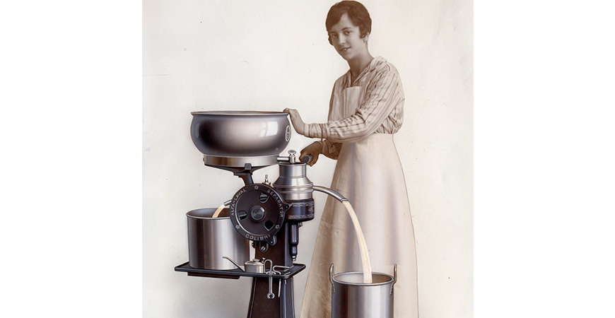 genier-och-arbetsmyror-3-2-832×870