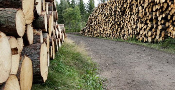 SCA